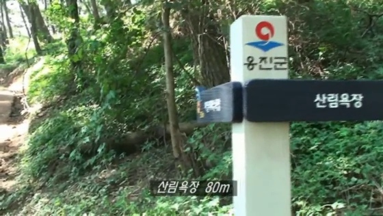 숲길에서 확인한 산림욕장 방향표지
