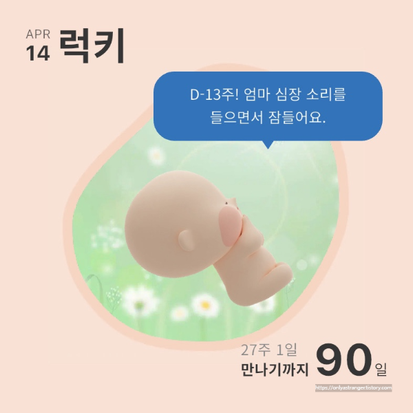 그 와중에 90일 남은 우리 럭키