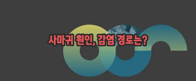 사마귀 원인 자세히 알아볼게요