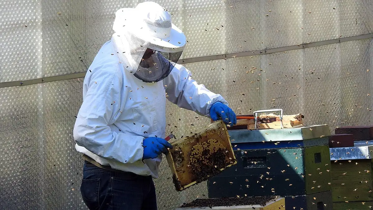 안전 교육과 관리 방안 포함