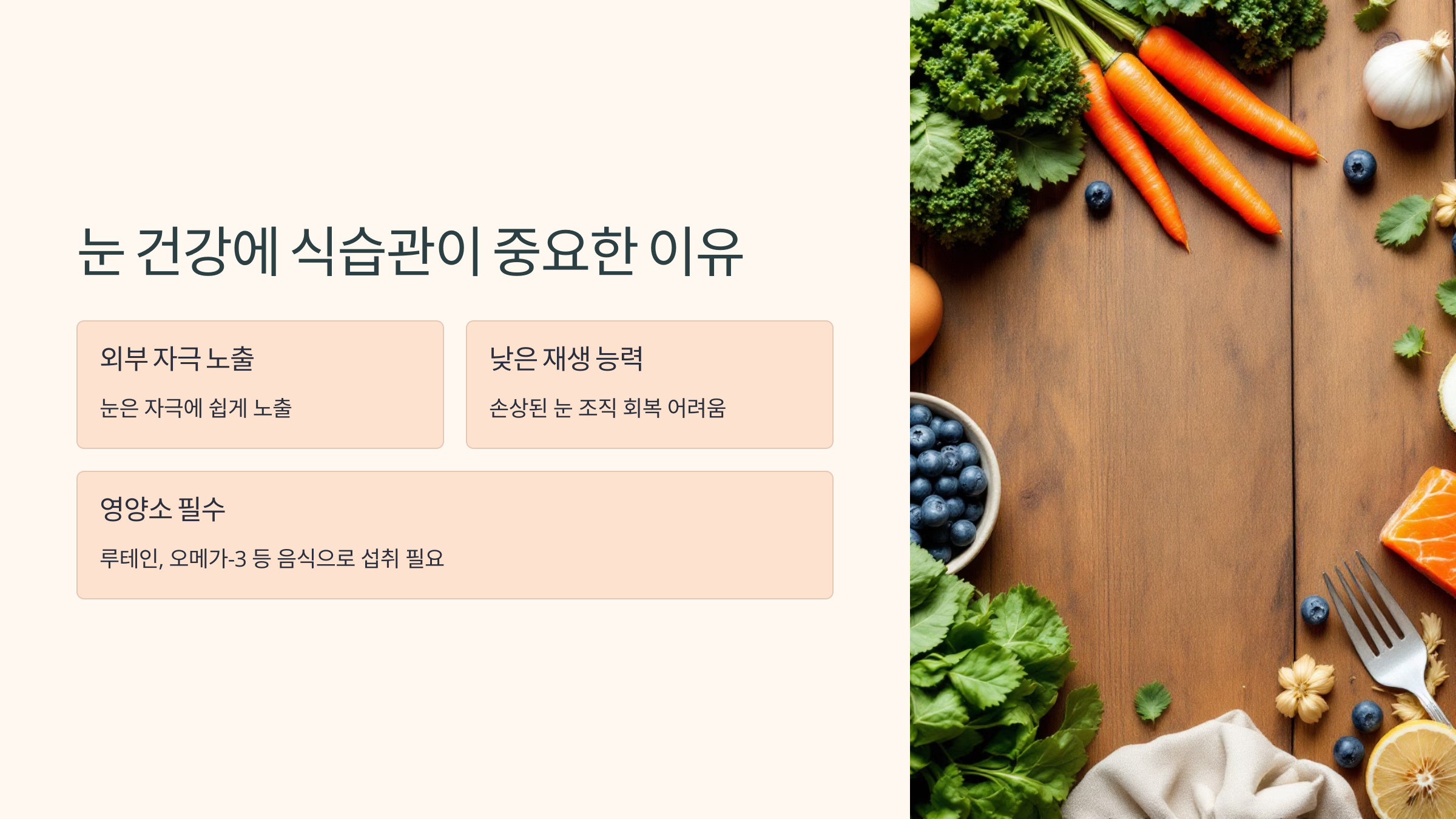 눈 건강에 식습관이 중요한 이유