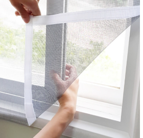 러브버그 퇴치 및 예방법