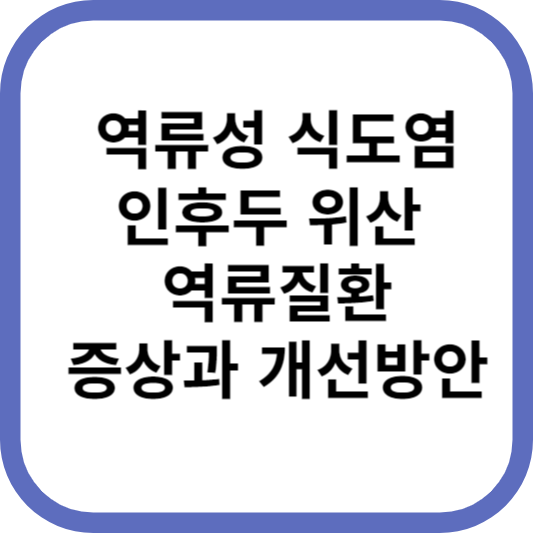 역류성 식도염 인후두 위산 역류질환