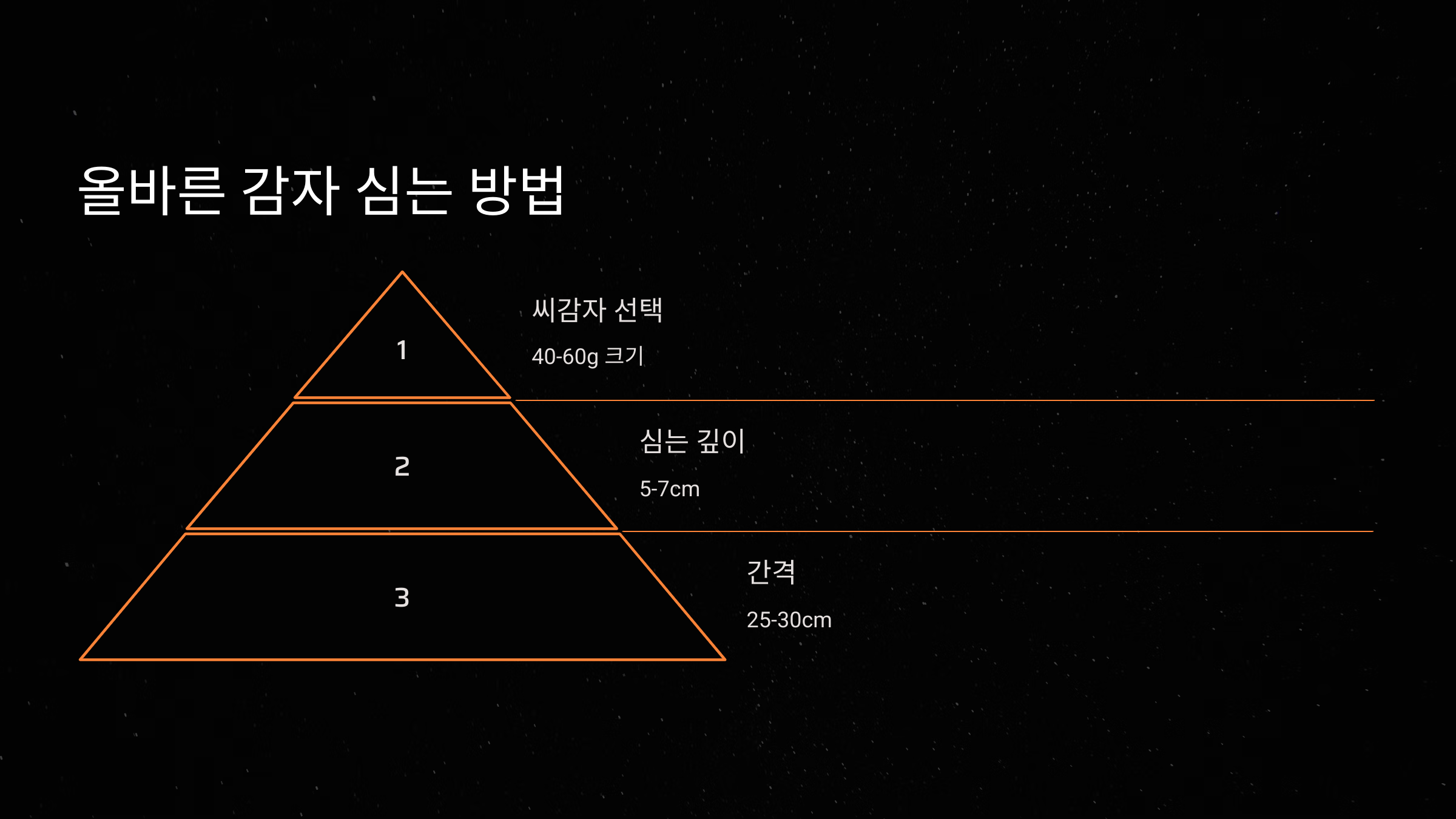 올바른 감자 심는 방법