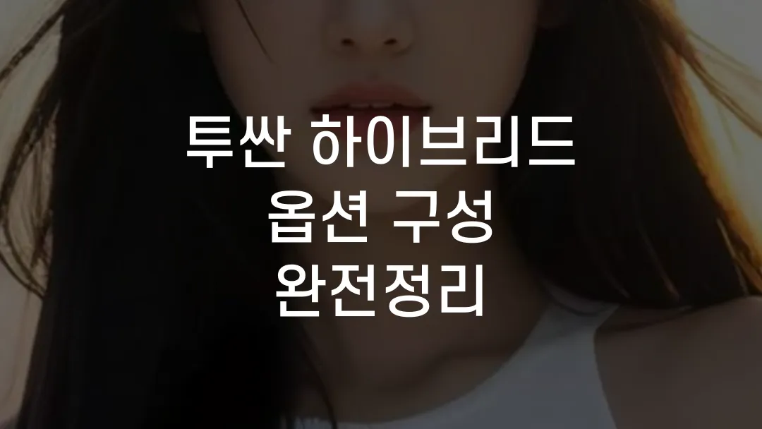 투싼 하이브리드 옵션 구성 완전정리