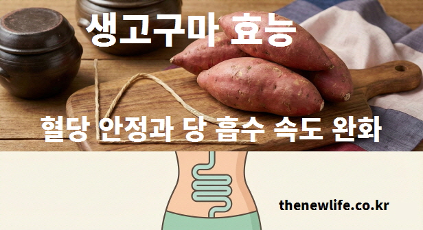 생고구마가 혈당 안정 효과를 설명하는 이미지