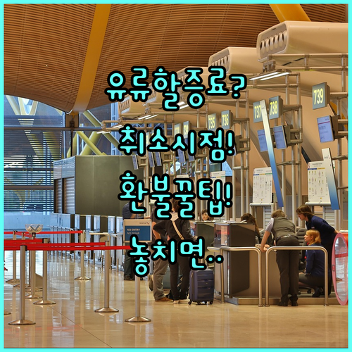 유류할증료 환불 가능 여부와 항공권 ..