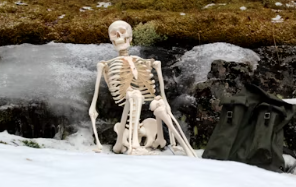 골다공증에 좋은 음식 10가지