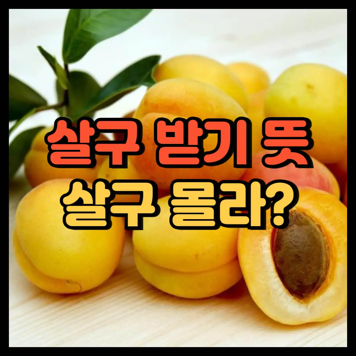 살구 받기 뜻