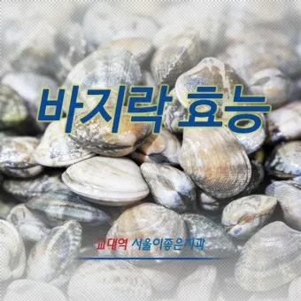 바지락 효능 보관방법 씻는법 해감시키는법_22