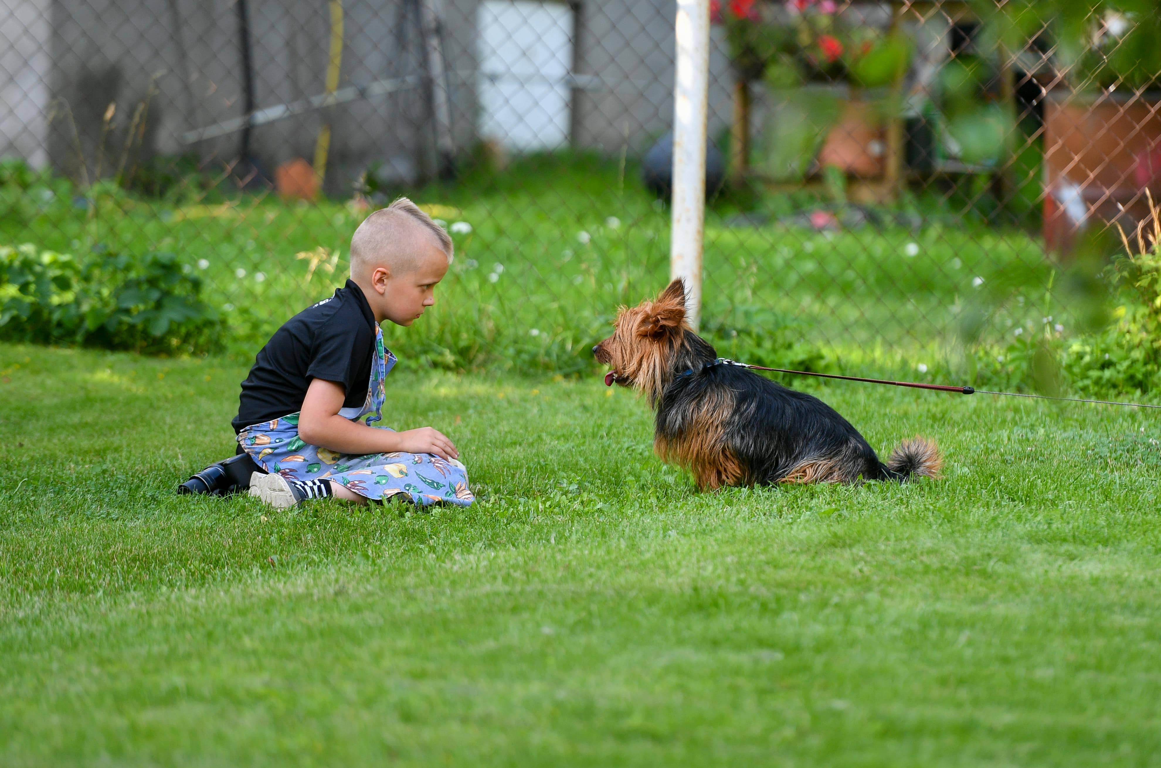 반려동물 친화 공간으로 재탄생한 폐교의 모습