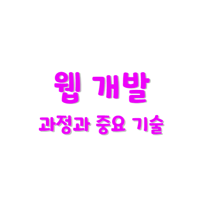 웹 개발 과정