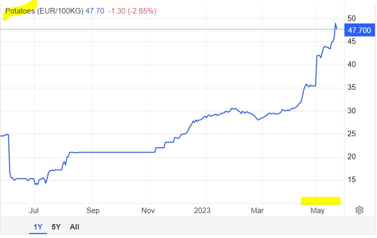 감자 선물가격 1년 차트