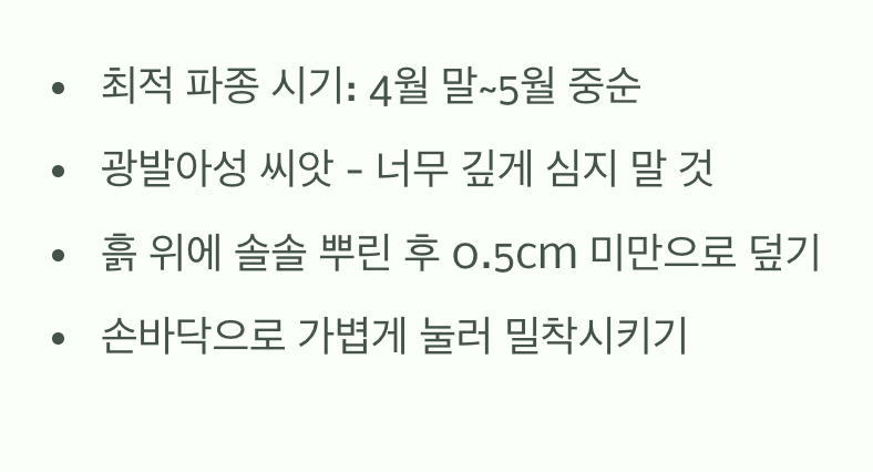 작은 씨앗, 위대한 약속의 시작