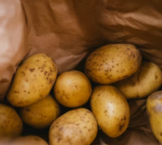 위궤양에 좋은 음식 영양제 식단