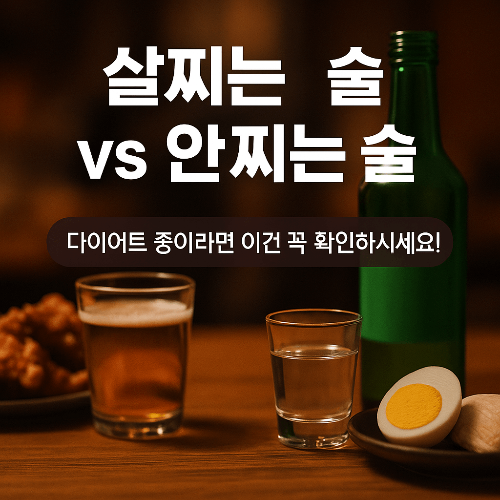 술, 살이 찌는 진짜 이유? 저칼로리 술 선택 팁