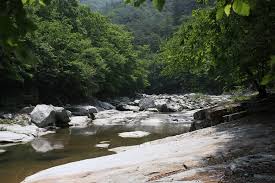 여름에 걷기 좋은 숲길 10