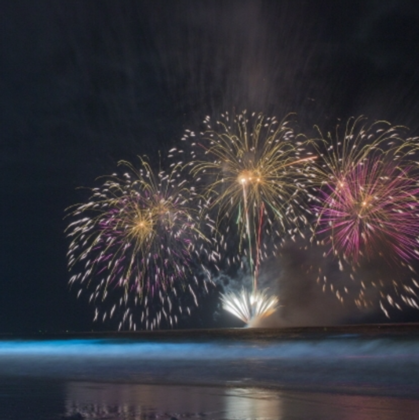 2024 보령머드축제 일정 체험 프로그램 근처 맛집 주차 정보