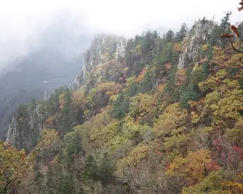 설악산 단풍&amp;#44; 절정 시기_11