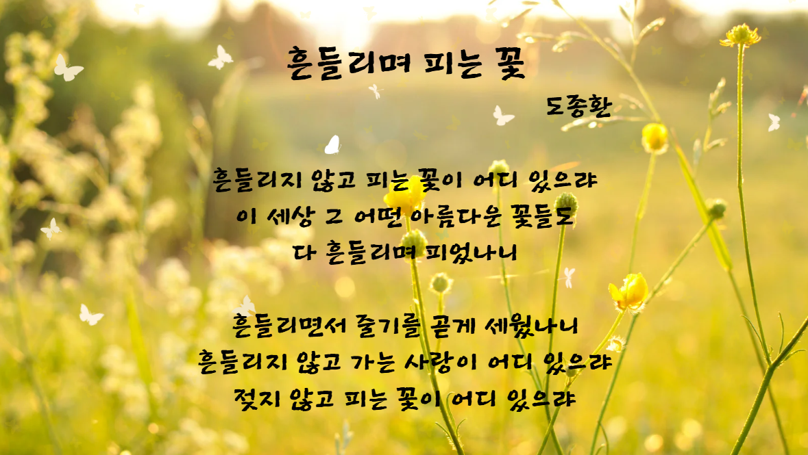 흔들리며 피는 꽃 도종환
