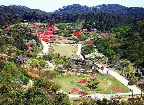 안면도 자연휴양림 풍경 사진