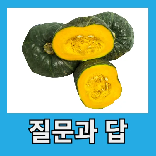 질문과 답