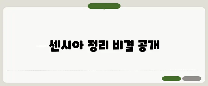 센시아 정리 실전 팁만 담았어요