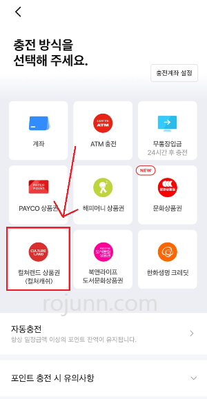 컬쳐랜드 현금화 방법 페이코 포인트 현금화