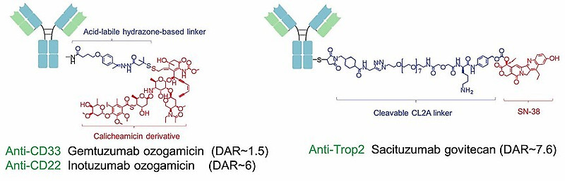 희귀 혈액형(Kidd, Duffy) 불일치로 인한 수혈반응 관리