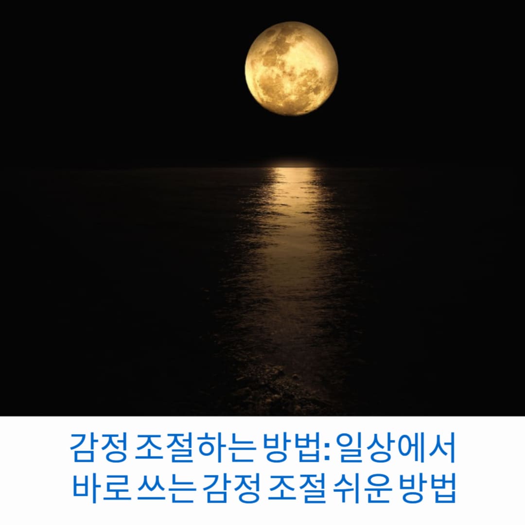 감정-조절하는-방법-일상에서-바로-쓰는-감정-조절-쉬운-방법-썸네일