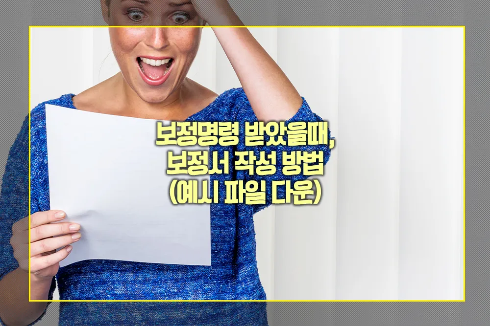 보정명령 보정서 작성 방법