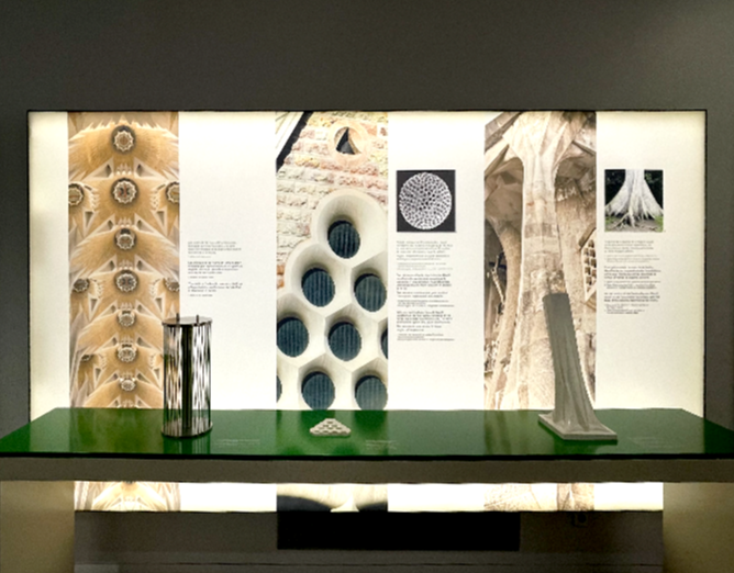 성당 지하공간-설명