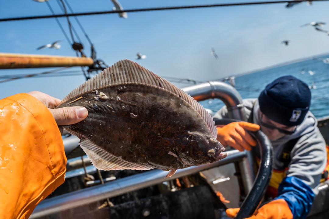 flatfish