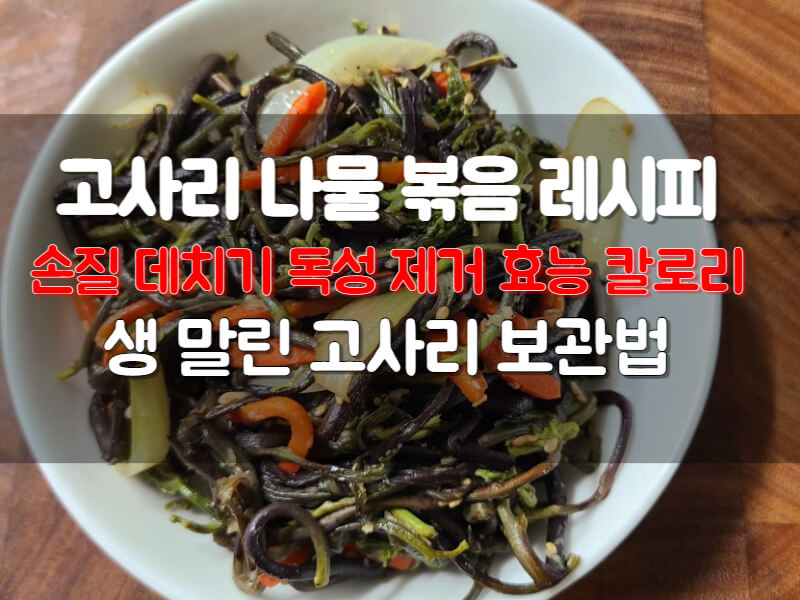 생고사리 독성 제거 삶는 법 손질 보관법 고사리 나물 볶음 레시피