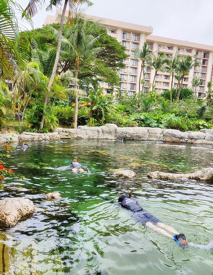 선생님을선두로 한줄로 길을 따라가는 성인코스