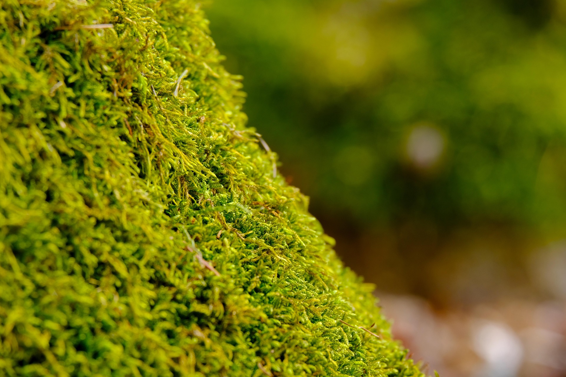위산 과다와 위산 부족&amp;#44; 증상은 비슷하지만 다르다.