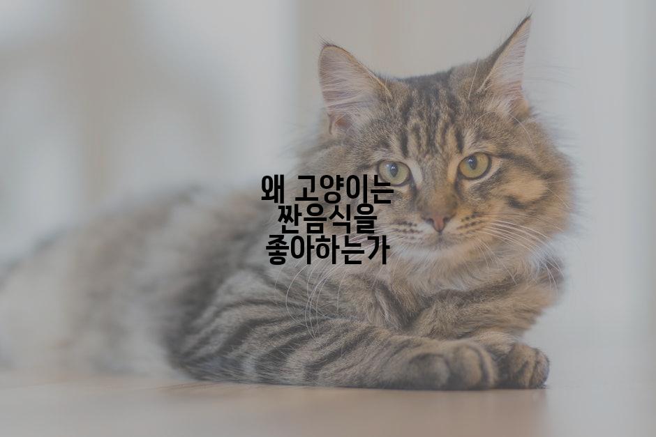 왜 고양이는 짠음식을 좋아하는가