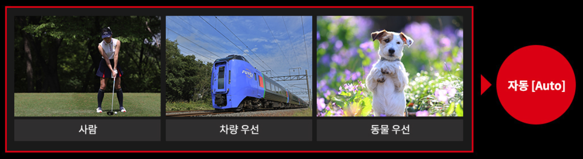 캐논 EOS R6 mark2 자동 AF 기능