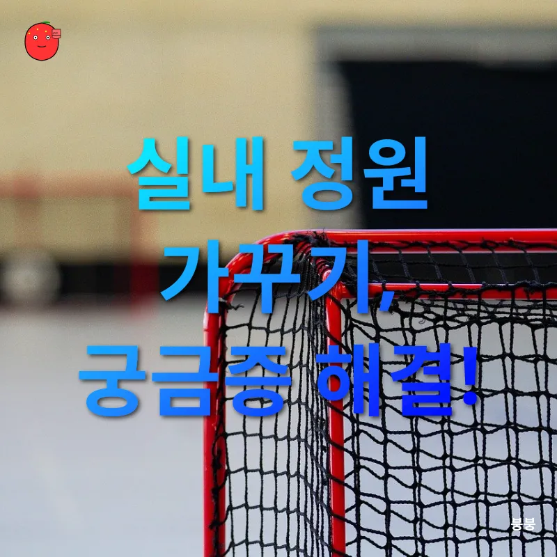 실내 정원 가꾸기_4