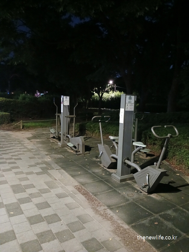 공원에 설치된 하체 운동용 레그프레스 및 페달형 기구, 야간 조명 아래 촬영된 모습
