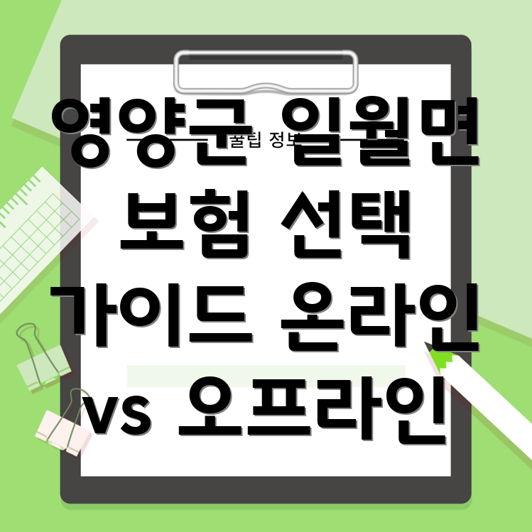 영양군 일월면 보험