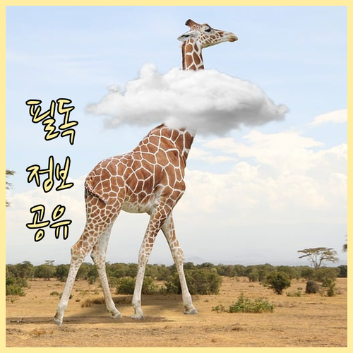 구리 사노동 깨끗한 환경을 위한 쓰레..