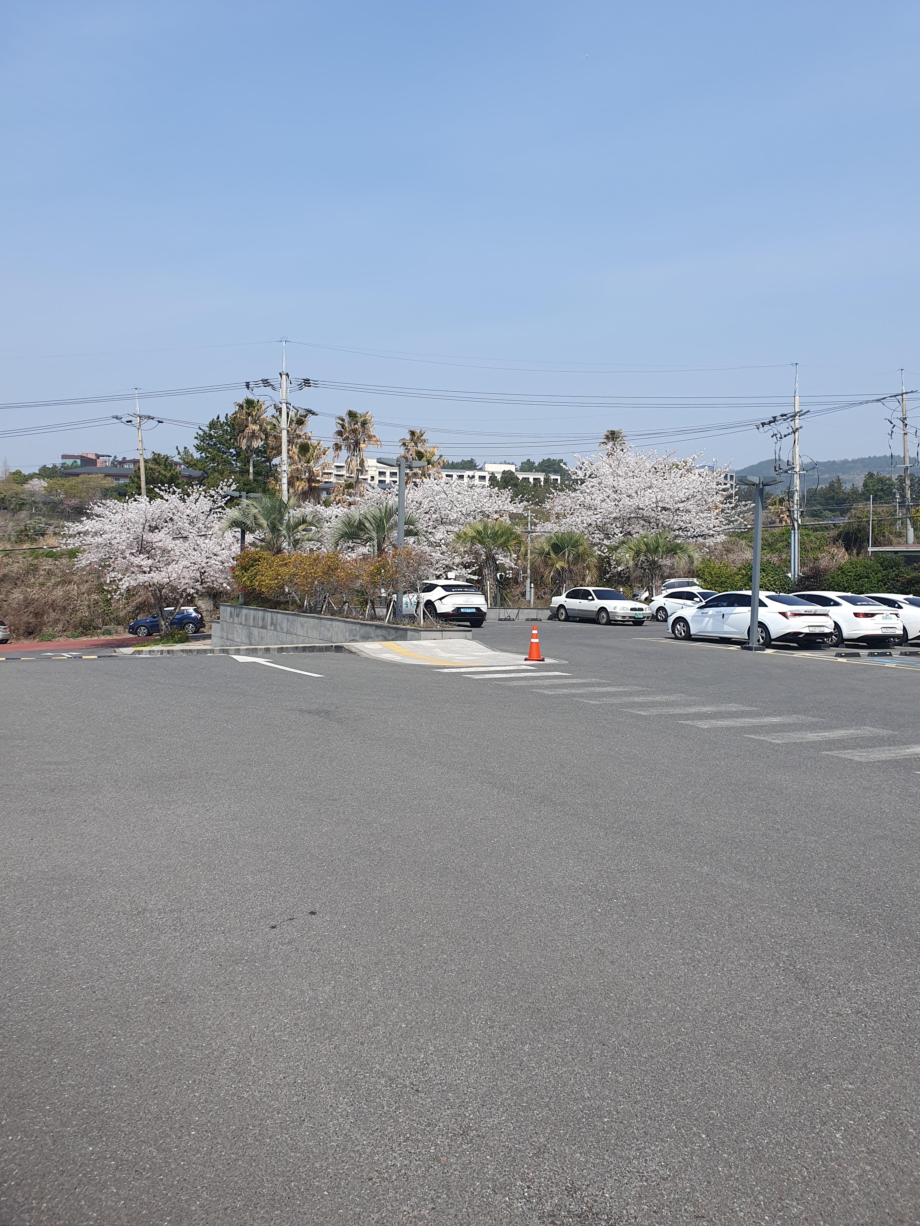 제주 호텔 더본 앞 주차장