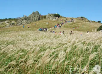 신불산 억새축제 기간, 케이블카, 억새평원 가는 쉬운 코스, 최단코스, 트레킹코스_45