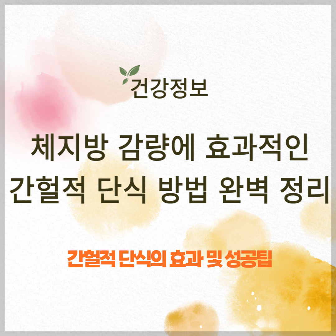 체지방 감량에 효과적인 간헐적 단식 방법 완벽 정리