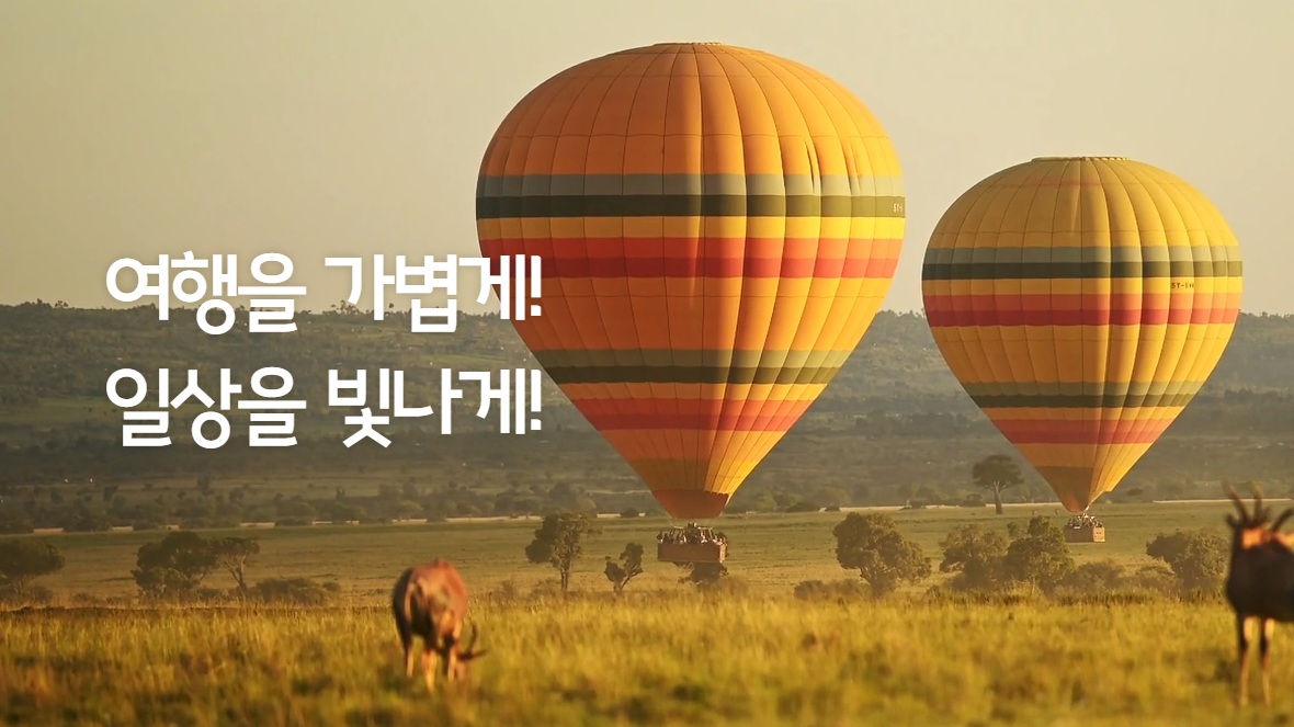노랑풍선