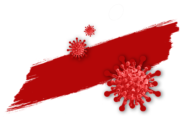 오늘 코로나19 신규확진자