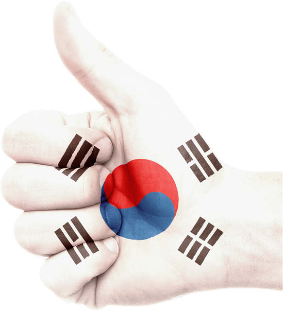 한국국기-엄치척-사진
