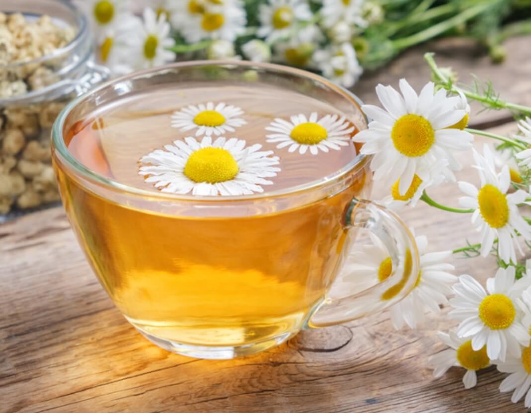 카모마일차 효능