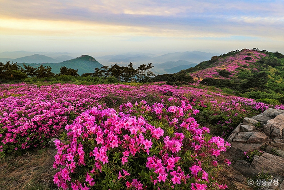 2024 가을 여행지 단풍 명소 추천